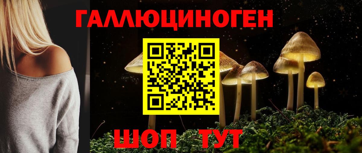 Псилоцибиновые грибы Psilocybe  Вход с VPN  Гудермес  Псилоцибиновые грибы мухоморы 